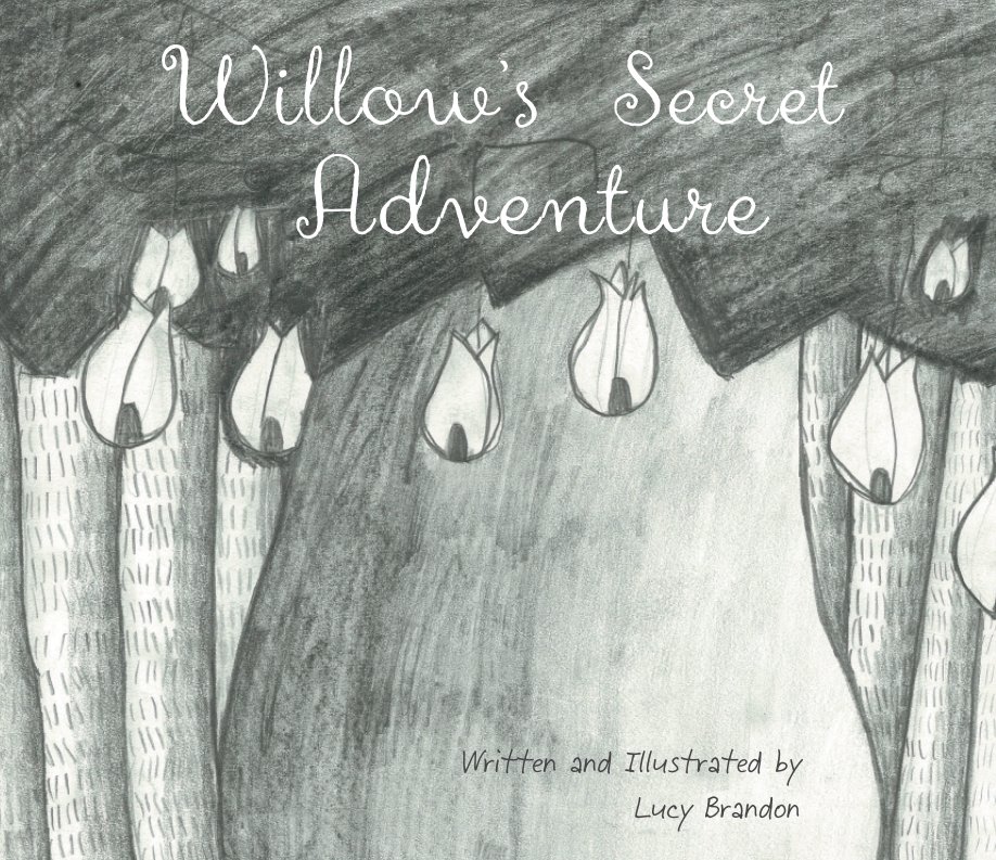 View Willow's Secret Adventure by Lucy Brandon