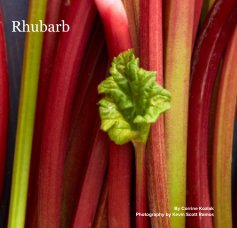 Rhubarb book cover