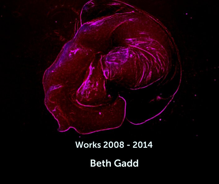 View Works 2008 - 2014 by Beth Gadd
