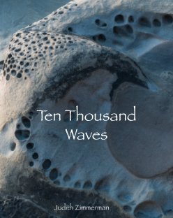 Ten Thousand Waves book cover