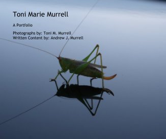 Toni Marie Murrell book cover