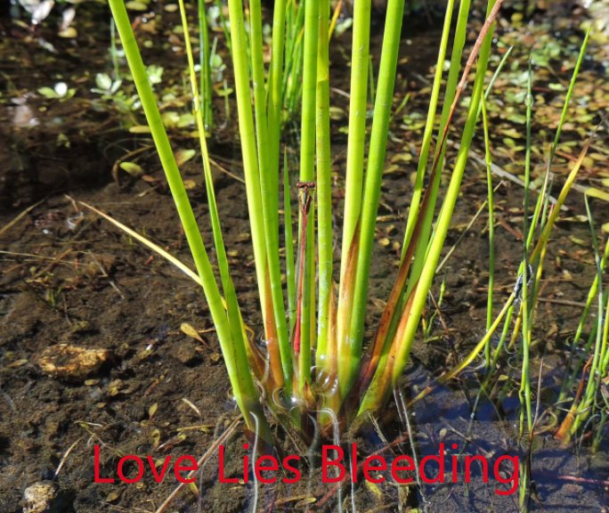 View Love Lies Bleeding by Jill lane and Patricia Mura Bannwarth