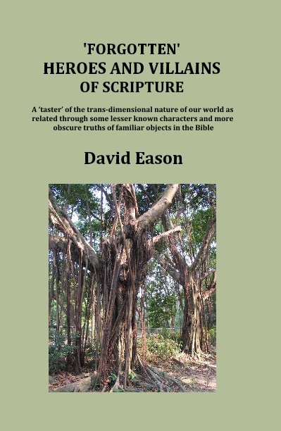 Ver 'FORGOTTEN' HEROES AND VILLAINS OF SCRIPTURE por David Eason