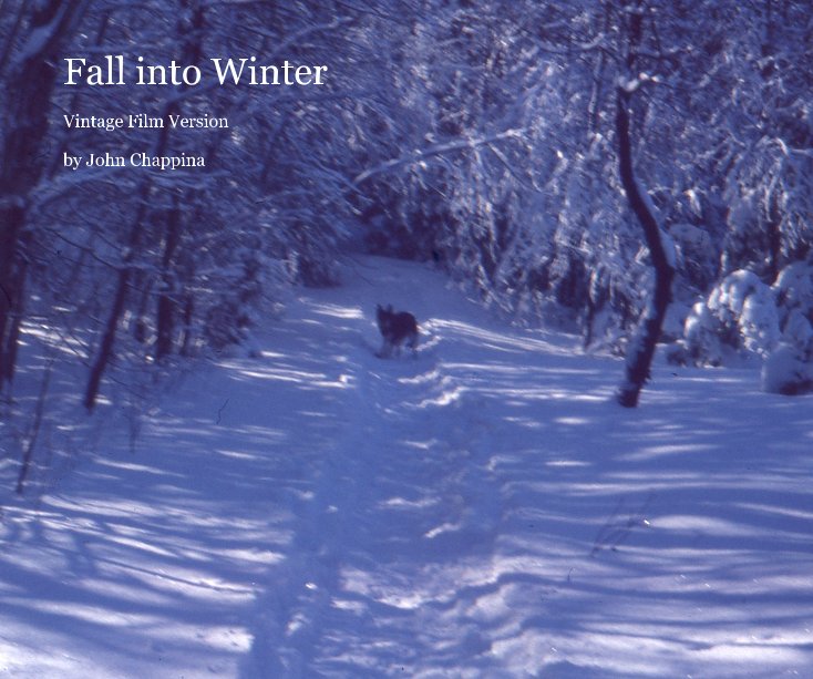 View Fall into Winter by John Chappina