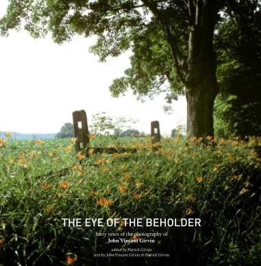 The Eye of the Beholder-imagewrap book cover