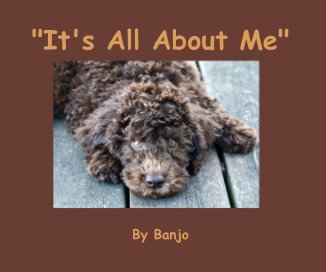 "It's All About Me" By Banjo book cover