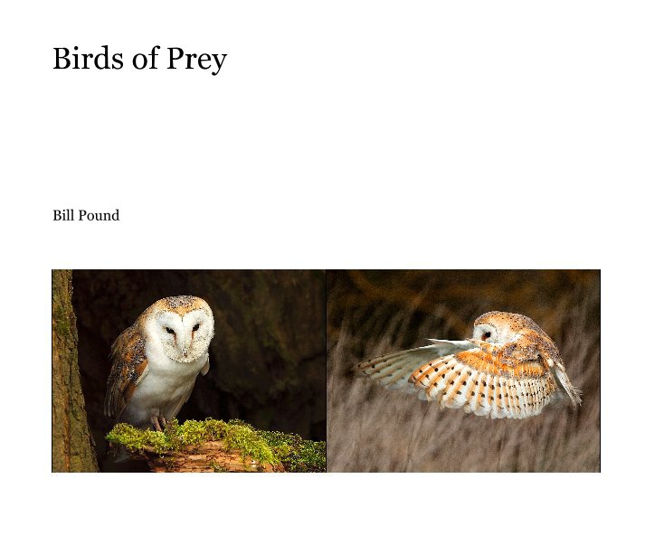 View Birds of Prey by Bill Pound