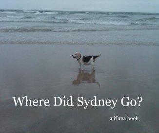 Where Did Sydney Go? book cover