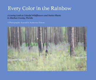 Every Color in the Rainbow book cover