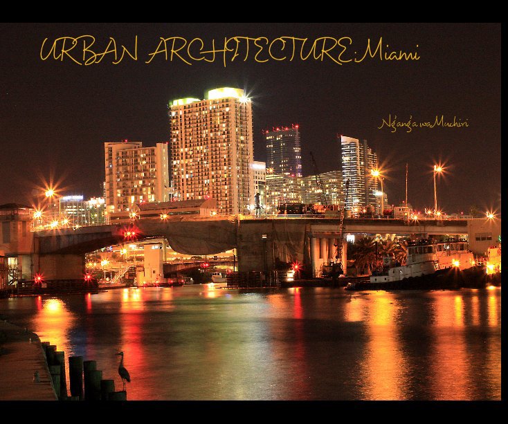 Bekijk URBAN ARCHITECTURE: Miami op Ng'ang'a wa Muchiri