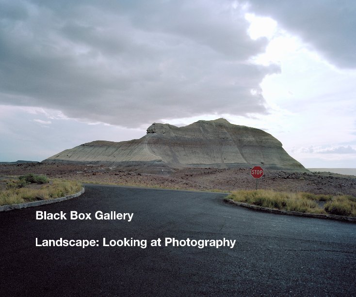 View Landscape: Looking at Photography by Black Box Gallery