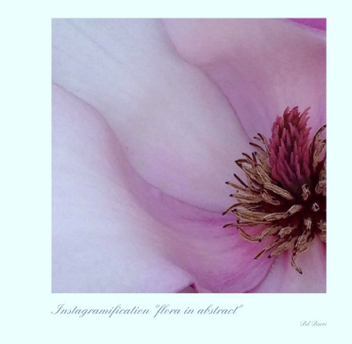 View Instagramification "flora in abstract" by Bil Burri