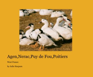 Agen,Nerac,Puy de Fou,Poitiers book cover