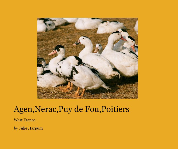 View Agen,Nerac,Puy de Fou,Poitiers by Julie Harpum