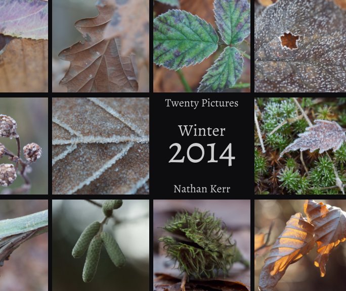 View Twenty Pictures: Winter 2014 by Nathan Kerr