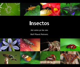 Insectos book cover