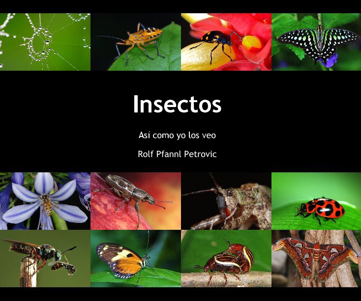 View Insectos by Rolf Pfannl Petrovic