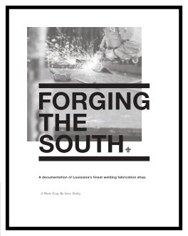 FORGING THE SOUTH book cover