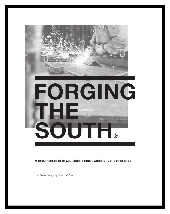 Ver FORGING THE SOUTH por Steve Neiley