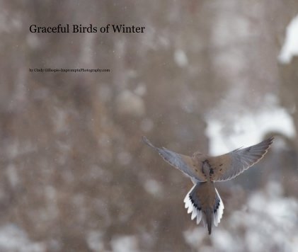 Graceful Birds of Winter book cover