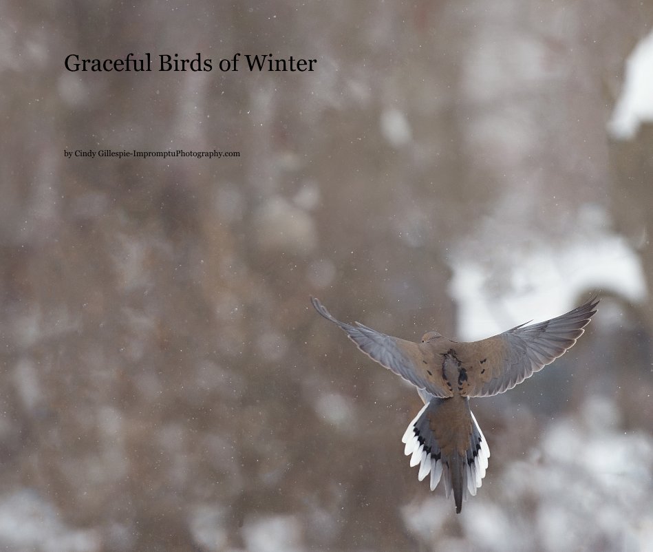 View Graceful Birds of Winter by Cindy Gillespie-ImpromptuPhotography.com