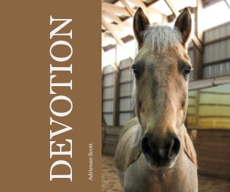 DEVOTION book cover