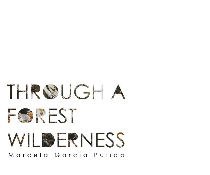 View Through a Forest Wilderness by Marcela Garcia Pulido