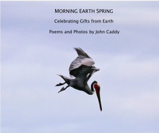 MORNING EARTH SPRING book cover