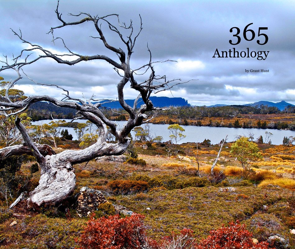 View 365 Anthology by Grant Hunt