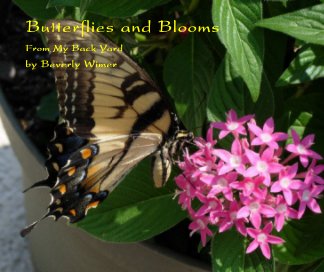 Butterflies and Blooms book cover