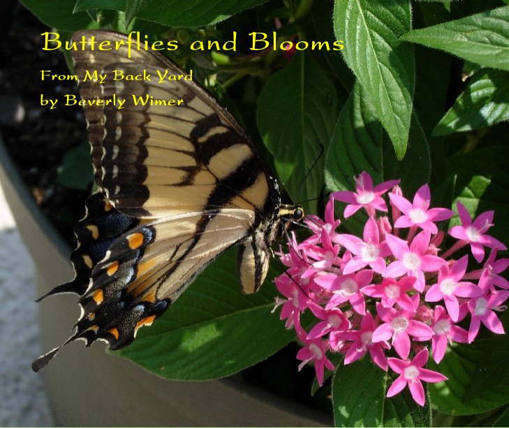 View Butterflies and Blooms by Beverly Wimer