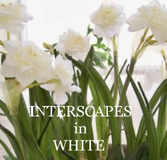 INTERSCAPES in WHITE book cover