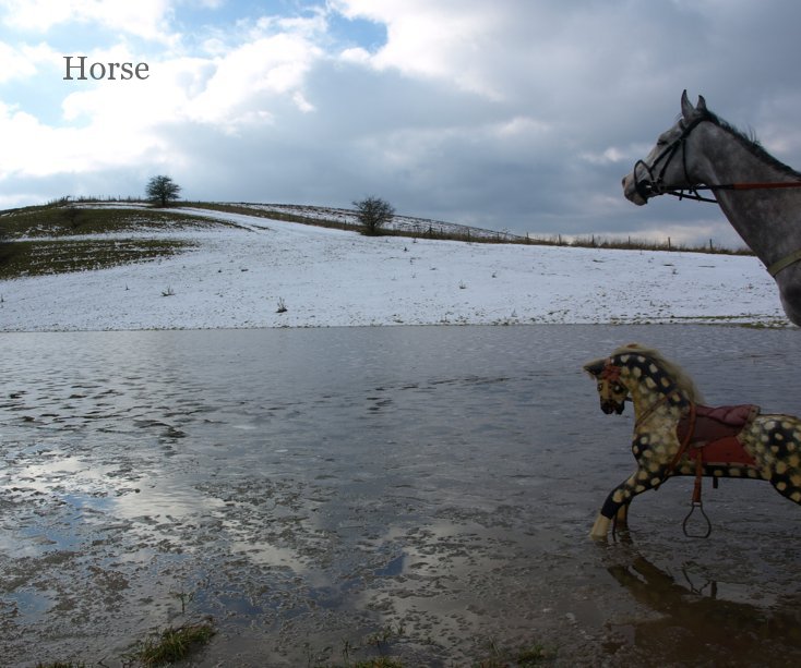 View Horse by Jill Carter