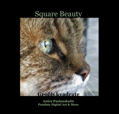 Square Beauty book cover