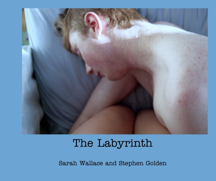 View The Labyrinth by Sarah Wallace and Stephen Golden
