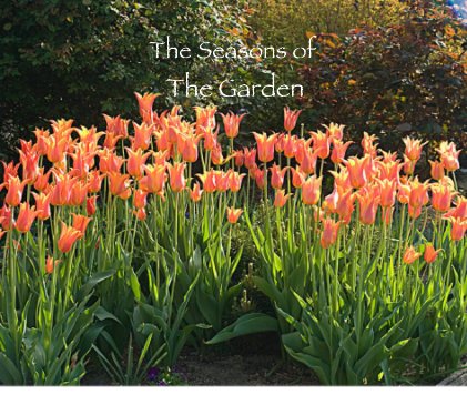 The Seasons of The Garden book cover