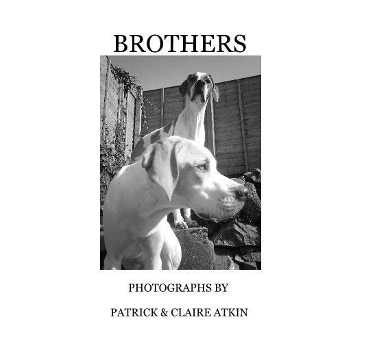 View BROTHERS by PATRICK & CLAIRE ATKIN