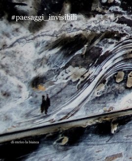 #paesaggi_invisibili book cover