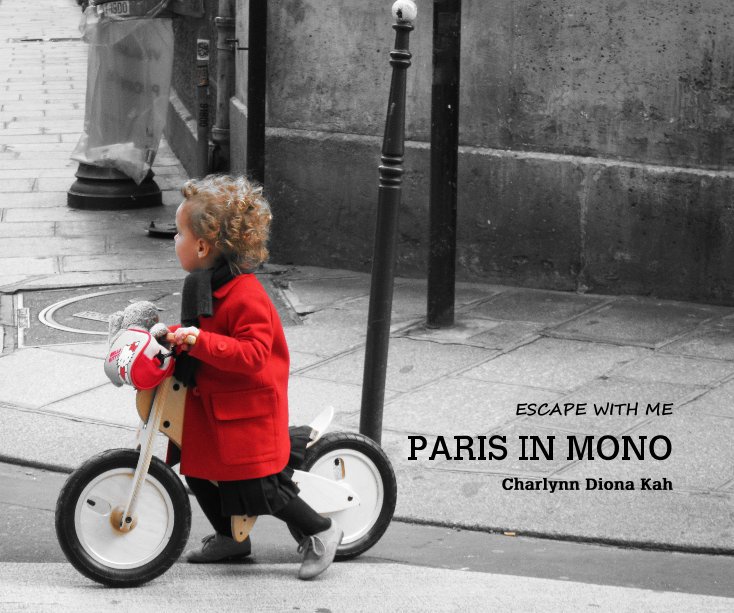 View Paris in Mono by Charlynn Diona Kah