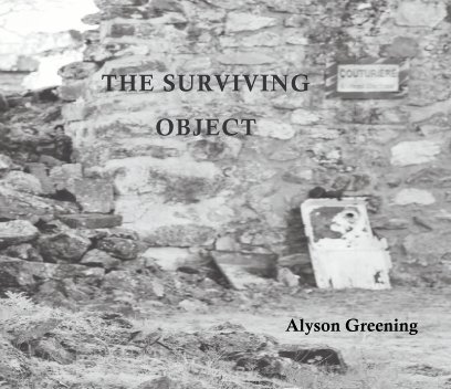 The Surviving Object book cover