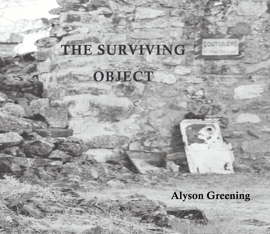 View The Surviving Object by Alyson Greening
