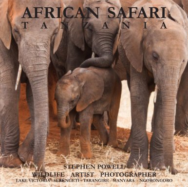 Africa 2012 Safari Pages book cover