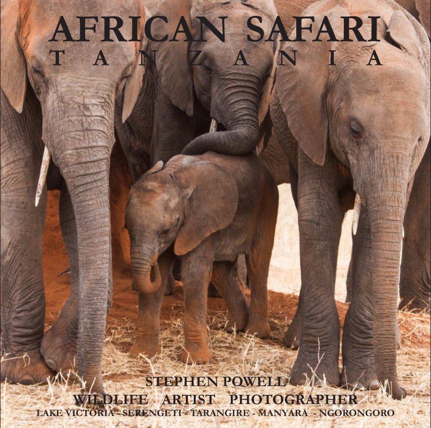 Visualizza Africa 2012 Safari Pages di Stephen Powell