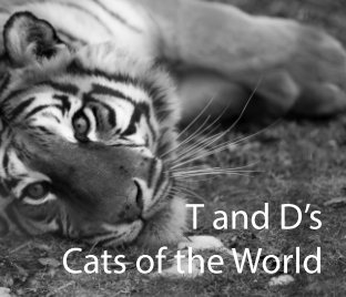 T and D's Cats of the World book cover