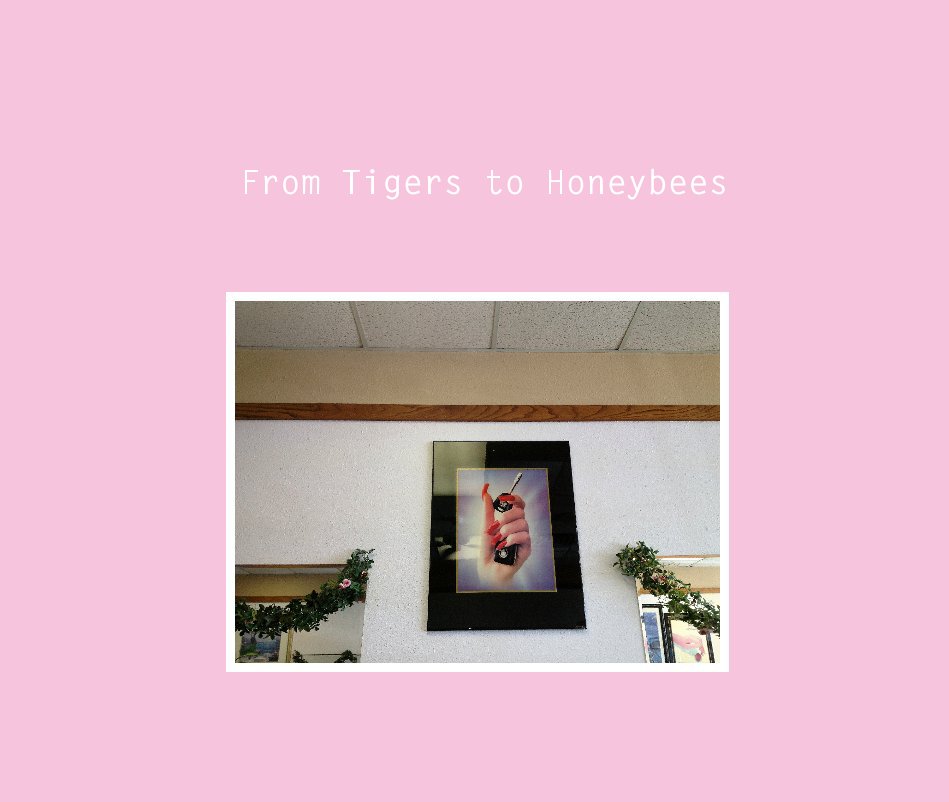 Ver From Tigers to Honeybees por AbigailLynch