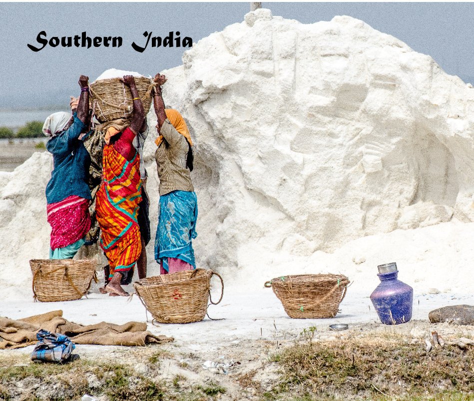 View Southern India by Claire James Steinberg