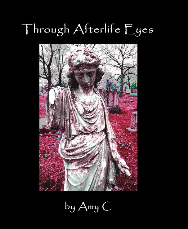 View Through Afterlife Eyes by Amy C