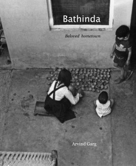 Bathinda book cover