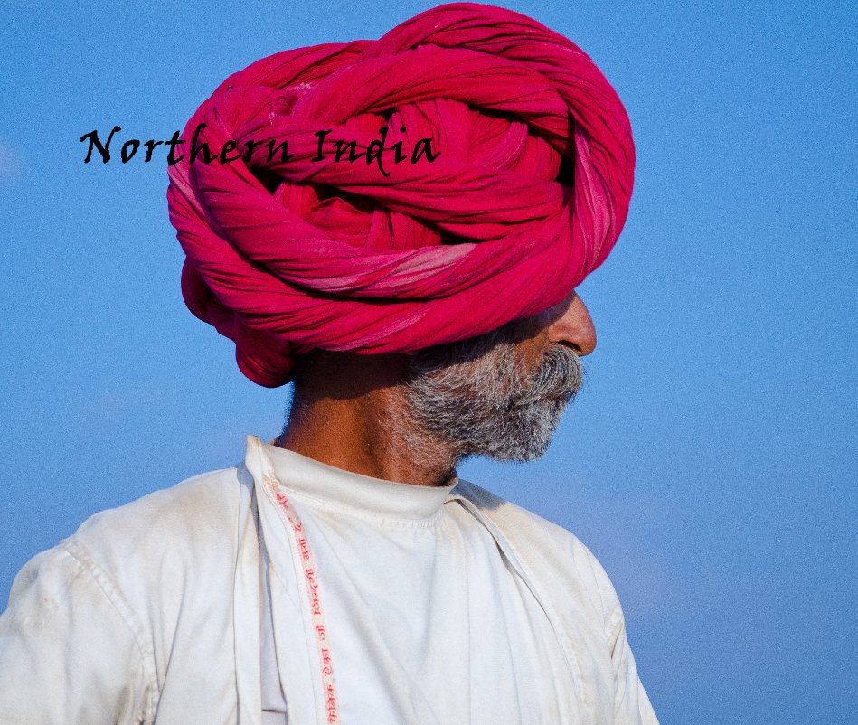View Northern India by Claire James Steinberg