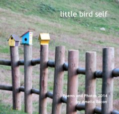 little bird self book cover